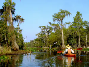 Kayaking adventure on Suwannee River in Adventures in Florida