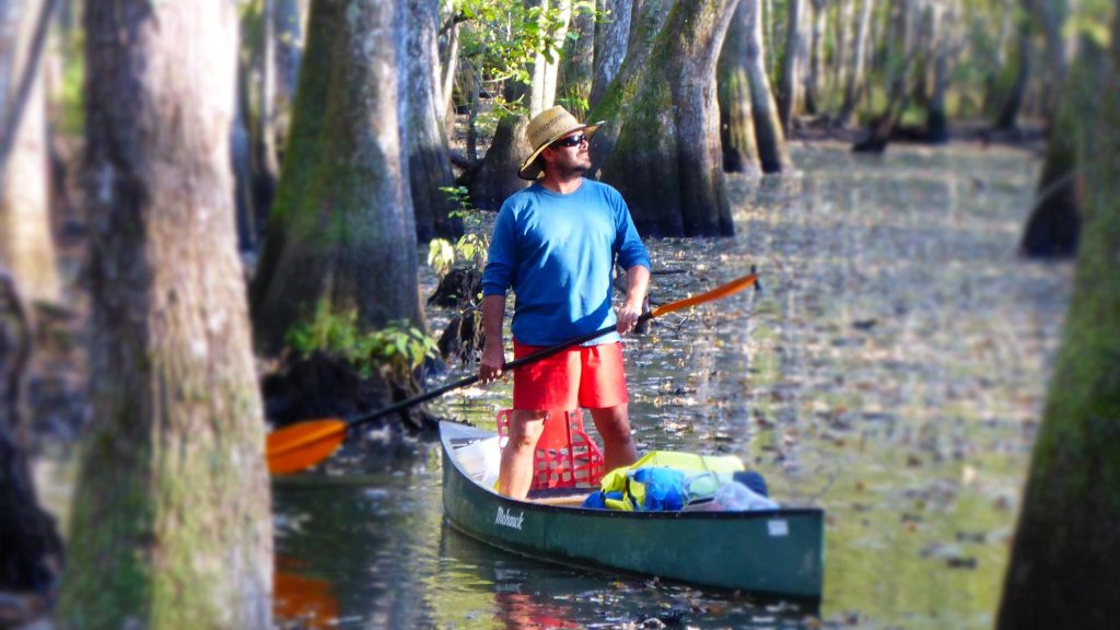 Adventures in Florida adventures in florida discovering okefenokee img10